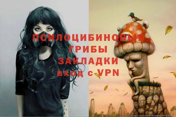 дурь Богородицк